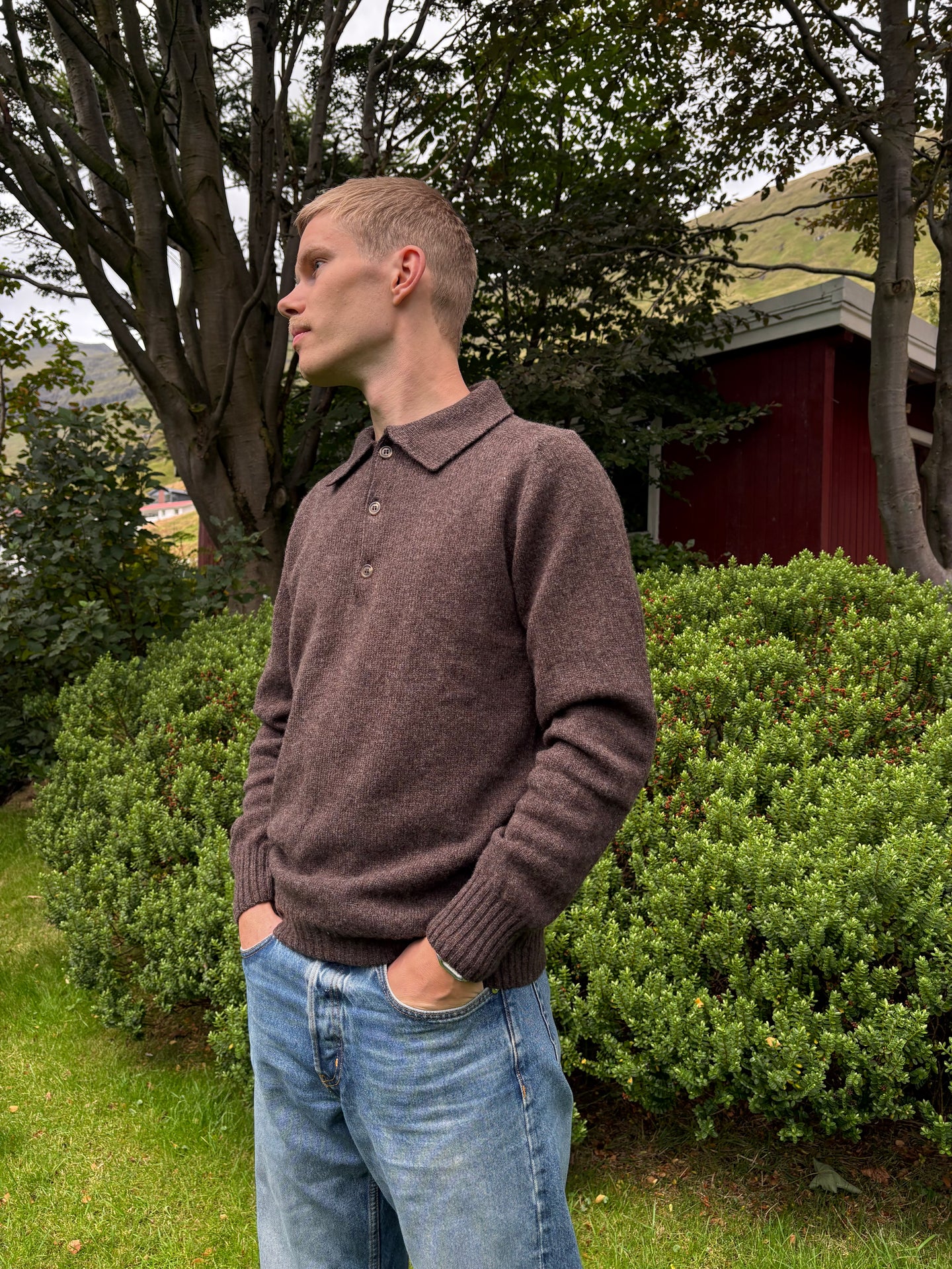 Polo sweater brown